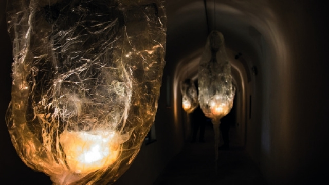 Cryptica. In mostra nel Museo del Sottosuolo fino al 30 novembre