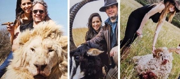 As fotos colocadas em uma rede social irritaram várias ONG’s de proteção aos animais. As fotos colocadas em uma rede social irritaram várias ONG’s de proteção aos animais.