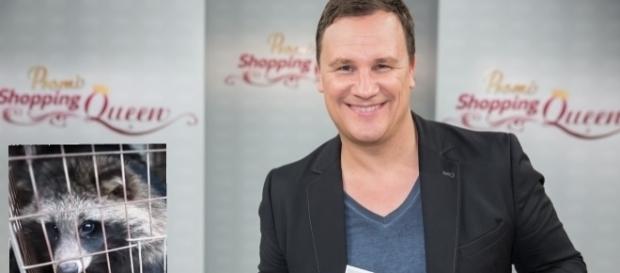 Modedesigner Guido Maria Kretschmer (51) ist Gegner von echtem Pelz / Foto: Vox, Markus Nass; Peta Modedesigner Guido Maria Kretschmer (51) ist Gegner von echtem Pelz / Foto: Vox, Markus Nass; Peta