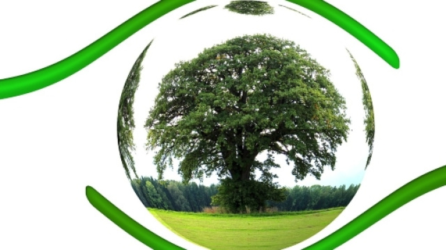 Ecomondo a Rimini la fiera della green economy