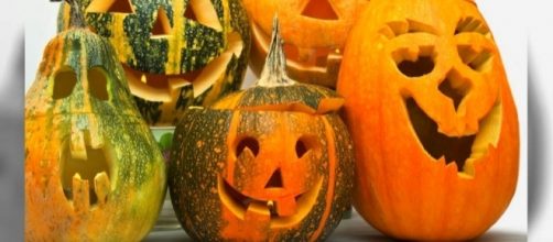 Boom della produzione di zucche per Halloween: in Lombardia aumentata del 58% in due anni