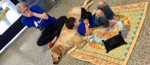 Nella foto si vede Kainoa con Tornado, il suo nuovo amico, mentre la mamma si commuove.