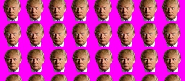 Trump is the better candidate compared to Johnson and Clinton Trump is the better candidate compared to Johnson and Clinton