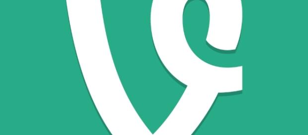 Twitter a décidé de fermer l'application Vine? Twitter a décidé de fermer l'application Vine?