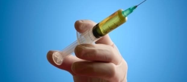 Entenda como é feito o processo de castração química Entenda como é feito o processo de castração química