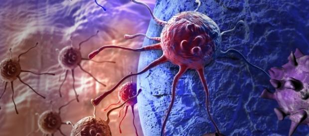 Fondation Paris Descartes | Le système immunitaire : un acteur clé ... - parisdescartes.fr Fondation Paris Descartes | Le système immunitaire : un acteur clé ... - parisdescartes.fr
