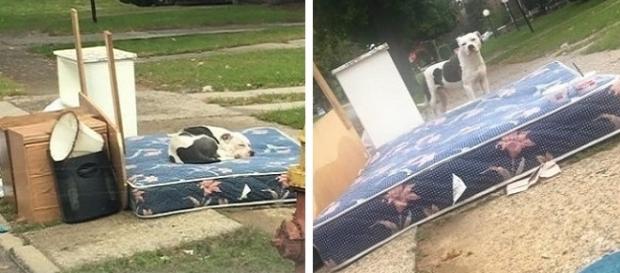 A cena comoveu os moradores da cidade de Detroit A cena comoveu os moradores da cidade de Detroit