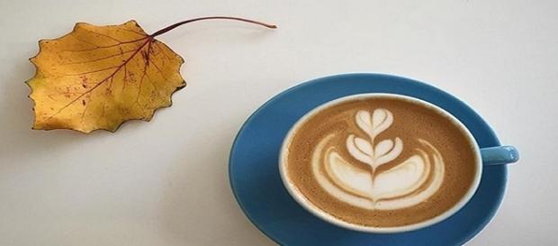 Pienso que si hubiera sido mujer, usaría café como perfume. John Van Druten Pienso que si hubiera sido mujer, usaría café como perfume. John Van Druten