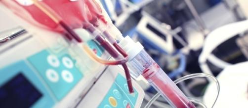 Jehovah's Witnesses refuse blood transfusions, not over the medical risks, but because of Bible commands. Maybe God was onto something? - kevinmd.com
