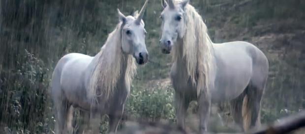 Casal de unicórnio (representado hoje em dia) Casal de unicórnio (representado hoje em dia)
