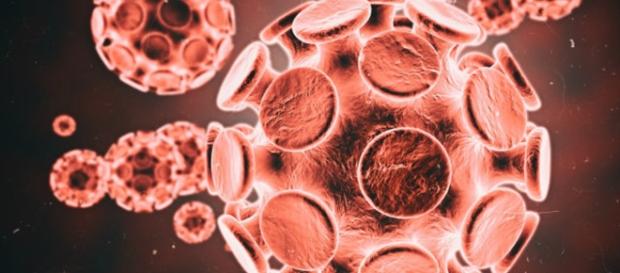 Pesquisadores britânicos pode ter descoberto a cura da Aids Pesquisadores britânicos pode ter descoberto a cura da Aids