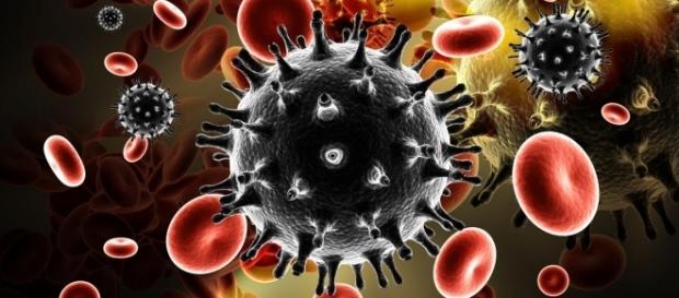 Projeto britânico criou um procedimento promissor na luta contra o HIV Projeto britânico criou um procedimento promissor na luta contra o HIV