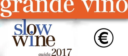 Salmariano 2013 "Grande Vino" anche per Slow Wine 2017 | Marotti Campi - marotticampi.it
