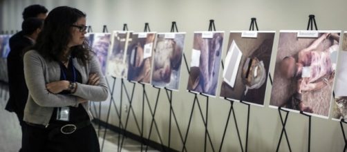 Maxxi, la mostra sui detenuti torturati in Siria