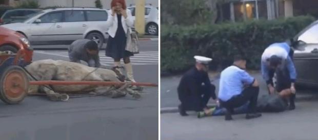 Căruţaş BĂTUT de poliţişti după ce aproape ŞI-A OMORÂT calul în bătaie Căruţaş BĂTUT de poliţişti după ce aproape ŞI-A OMORÂT calul în bătaie