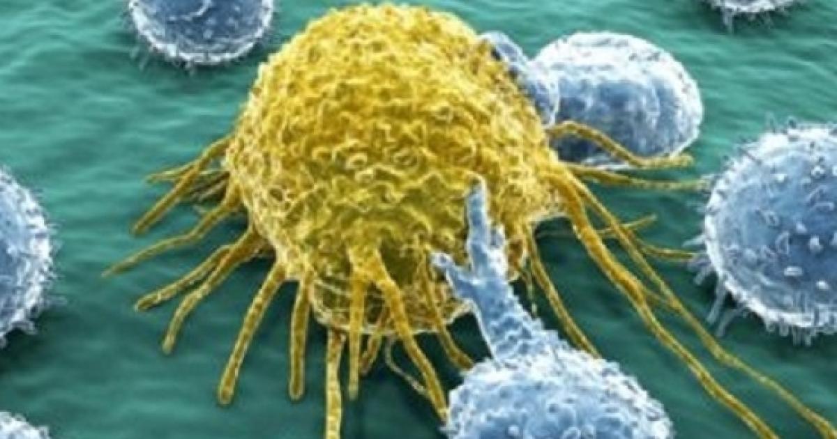 Entra In Azione La Quarta Arma Contro Il Cancro, L’immunoterapia