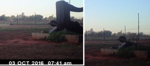 Estrutura fotografada ao lado de um carrinho de obras. Clique na imagem para ver o antes e o depois (MUFON) Estrutura fotografada ao lado de um carrinho de obras. Clique na imagem para ver o antes e o depois (MUFON)