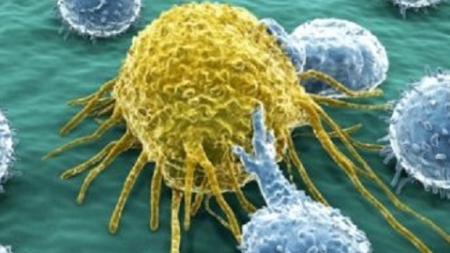 Grossi passi avanti con l'immunoterapia contro i tumori.