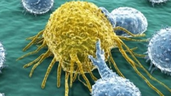 Grossi passi avanti con l'immunoterapia contro i tumori.