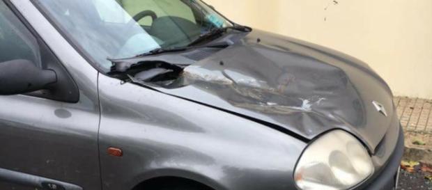 Dabni alle auto, a causa dei rami. Dabni alle auto, a causa dei rami.