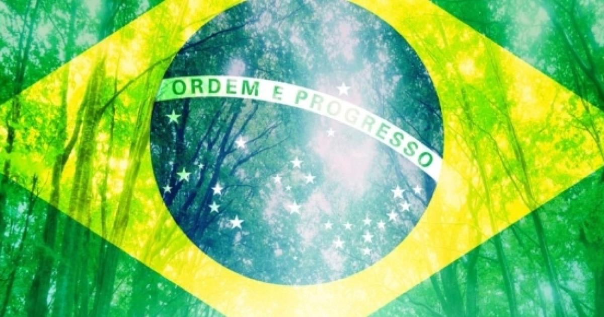 Sustentabilidade no Brasil: questão ambiental ou econômica