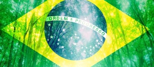 Sustentabilidade no Brasil: questão ambiental ou econômica?
