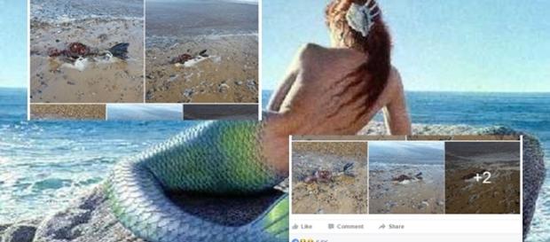 A imagem foi compartilhada milhares de vezes no Facebook A imagem foi compartilhada milhares de vezes no Facebook