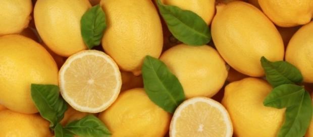 lămâi, vindecare, fruct, scorbut lămâi, vindecare, fruct, scorbut
