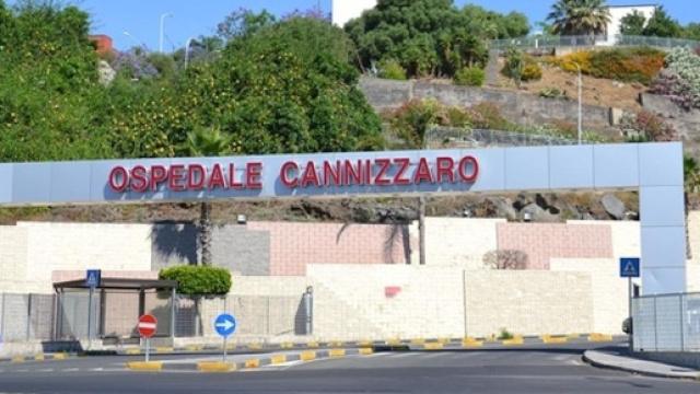 Ospedale Cannizzaro, aggrediti a pugni due infermieri. Paziente ... - meridionews.it