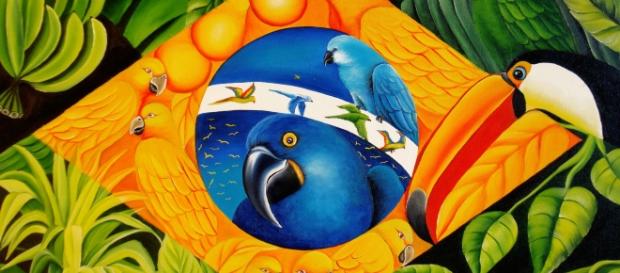 Imagem por Fauna e flora do Brasil Imagem por Fauna e flora do Brasil