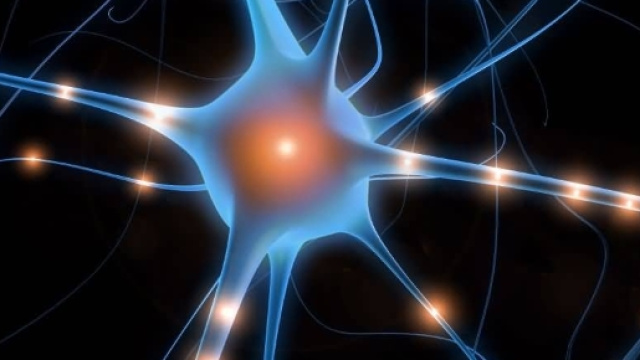 Neuroscienze: nuova scoperta sulla schizofrenia - unito.it