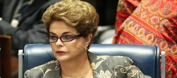 Ex-presidente Dilma Rousseff se prepara para assumir em dezembro o seu cargo. Ex-presidente Dilma Rousseff se prepara para assumir em dezembro o seu cargo.