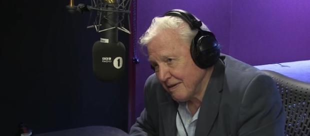 Sir David Attenborough doing voice-over work an Adele song. YouTube (Screencap-BBC Radio 1) Sir David Attenborough doing voice-over work an Adele song. YouTube (Screencap-BBC Radio 1)
