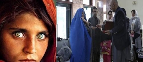 Sharbat Gula scarcerata | Di Persio Tito