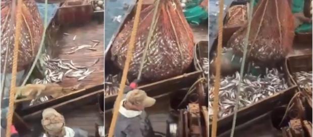 A rede de pesca não trouxe somente peixes do fundo do oceano A rede de pesca não trouxe somente peixes do fundo do oceano