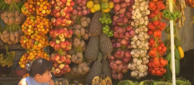 El sistema alimentario actual en peligro El sistema alimentario actual en peligro