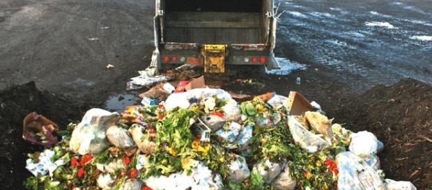 Plan para reducir desperdicio de alimentos Plan para reducir desperdicio de alimentos