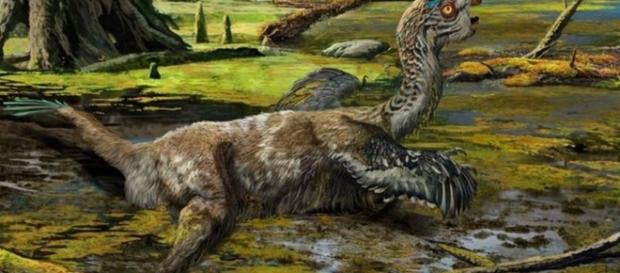The dinosaur almost blown to oblivion - NewsOdy - newsody.com The dinosaur almost blown to oblivion - NewsOdy - newsody.com