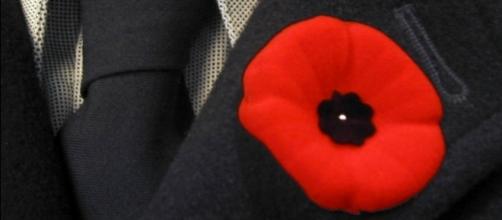 Poppies and the Remembrance Day (Image source : Wikipedia)