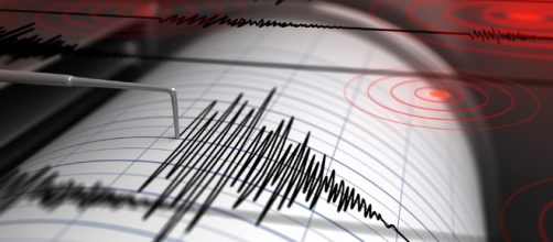 Sisma di 7.8 Richter scatena allarme tsunami in Nuova Zelanda