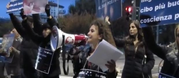 Blitz animalista al raduno nazionale del Movimento 5 Stelle per chiedere di portare in parlamento le cause animaliste Blitz animalista al raduno nazionale del Movimento 5 Stelle per chiedere di portare in parlamento le cause animaliste