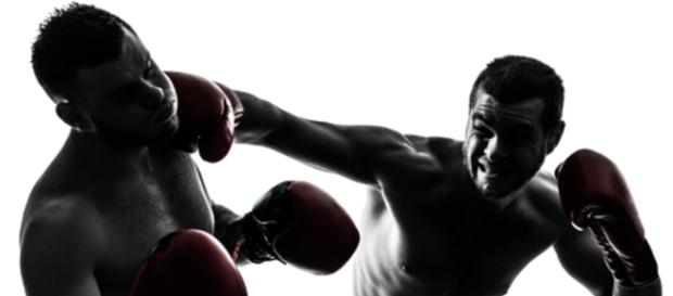 Boxen Live-Stream – GIGA - giga.de Boxen Live-Stream – GIGA - giga.de