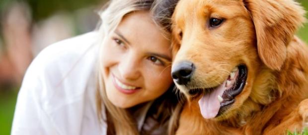 Passear com o seu cão faz bem para a saúde dele e à sua Passear com o seu cão faz bem para a saúde dele e à sua