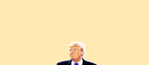Trump: We Fell Down The Echo Chamber (image is in creative commons and sourced by the Blasting News Library) Trump: We Fell Down The Echo Chamber (image is in creative commons and sourced by the Blasting News Library)