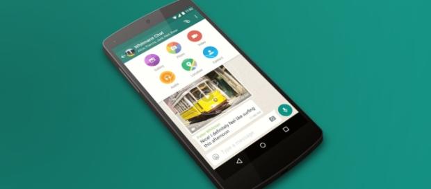WhatsApp GIF support is finally on its way - thenextweb.com WhatsApp GIF support is finally on its way - thenextweb.com