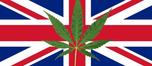 How Legalising Weed Would Save Britain Billions | VICE | United ... - vice.com