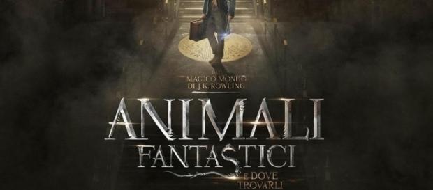 Animali Fantastici e dove trovarli, presto al cinema Animali Fantastici e dove trovarli, presto al cinema