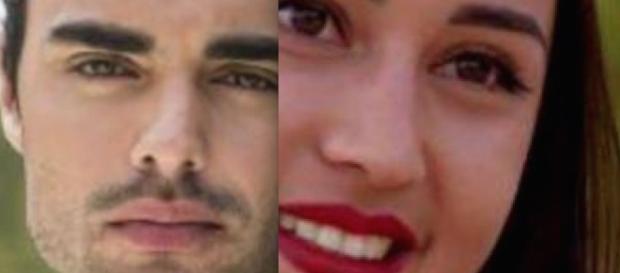 Avez-vous vu une seule onde d'amour dans leurs yeux, un jour ? Avez-vous vu une seule onde d'amour dans leurs yeux, un jour ?