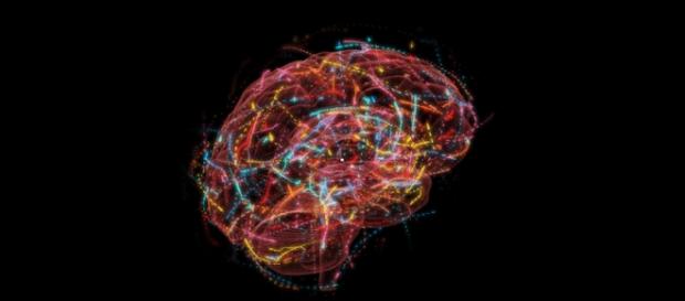 Can Quantum Physics Explain Consciousness? - The Atlantic - theatlantic.com Can Quantum Physics Explain Consciousness? - The Atlantic - theatlantic.com