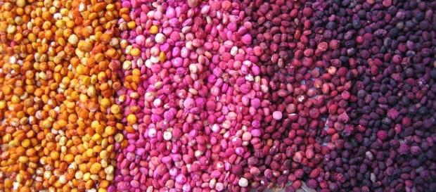 Quinoa, un pseudo cereal ideal para todos Quinoa, un pseudo cereal ideal para todos